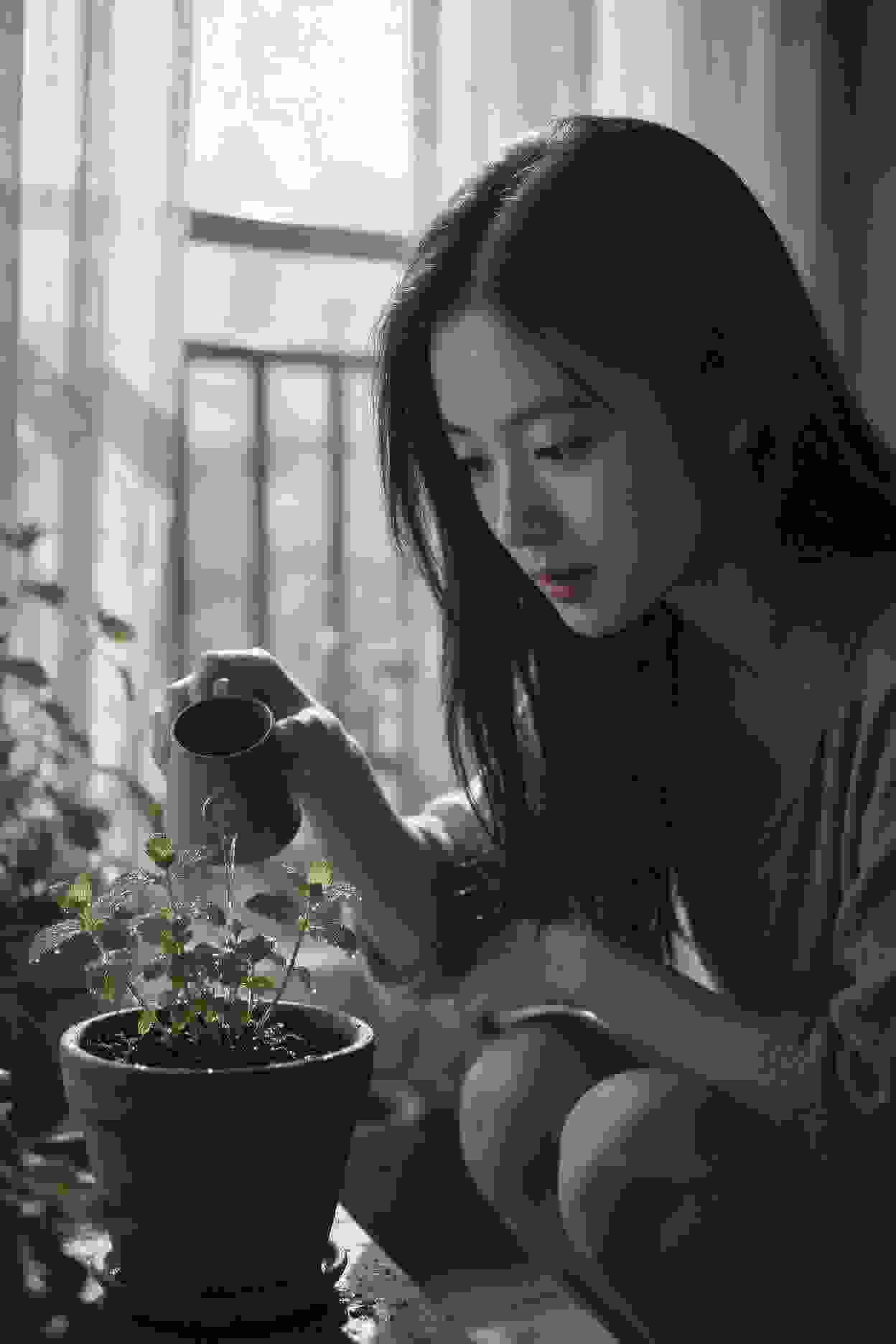 赘婿的逆袭